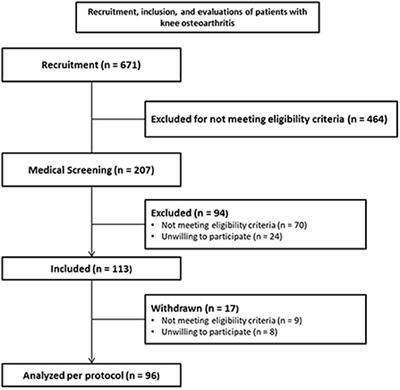 The Institute of Physical Medicine and Rehabilitation, Hospital das Clínicas University of São Paulo School of Medicine comprehensive rehabilitation program for elderly people with knee osteoarthritis